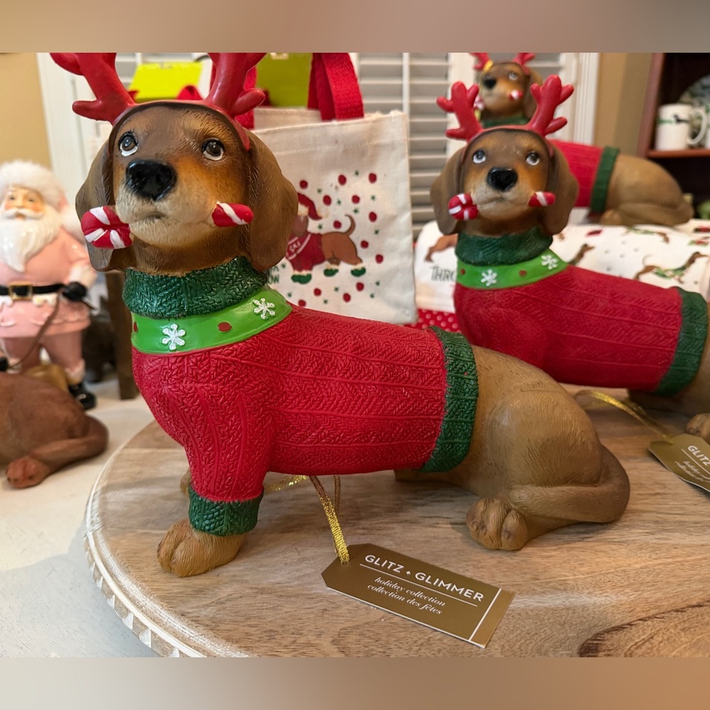 Christmas Dachshund in Red Sweater green collar w/snowflakes holding candy cane